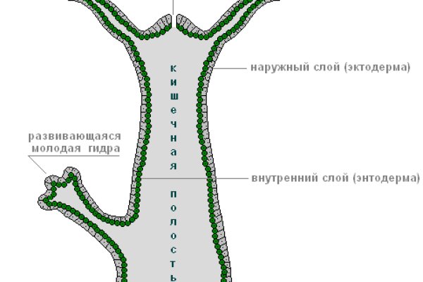 Кракен оф ссылка