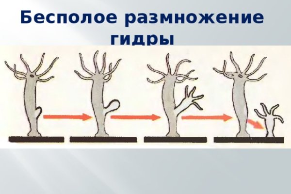 Кракен макет даркнет только через тор