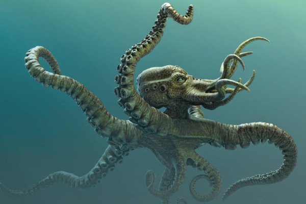 Как вывести деньги с kraken