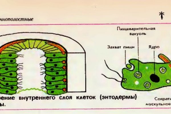 Зеркала тор