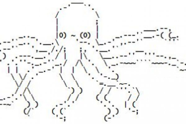 Kraken 6at