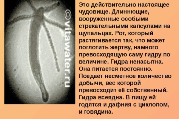 Кракен маркетплейс скачать